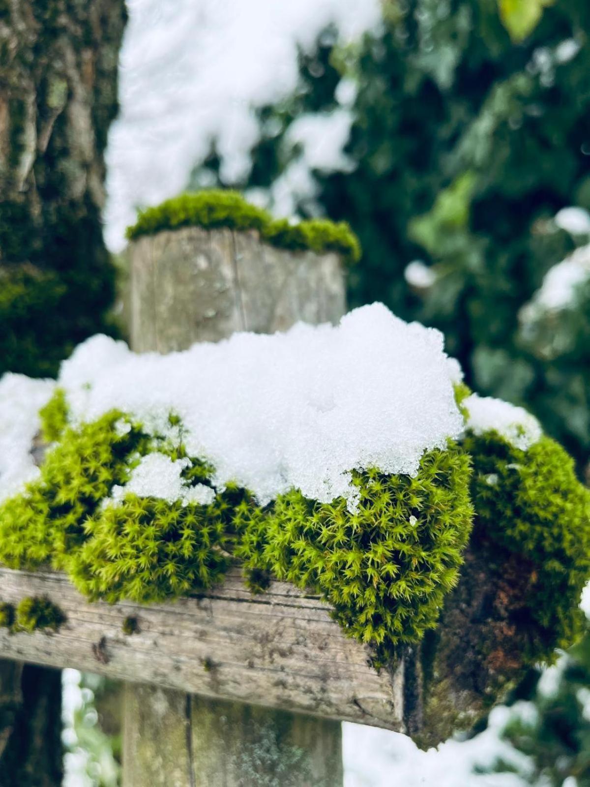 Am Pfarrhof - Gourmethotel By Harald Irka Sankt Andra-Hoch エクステリア 写真
